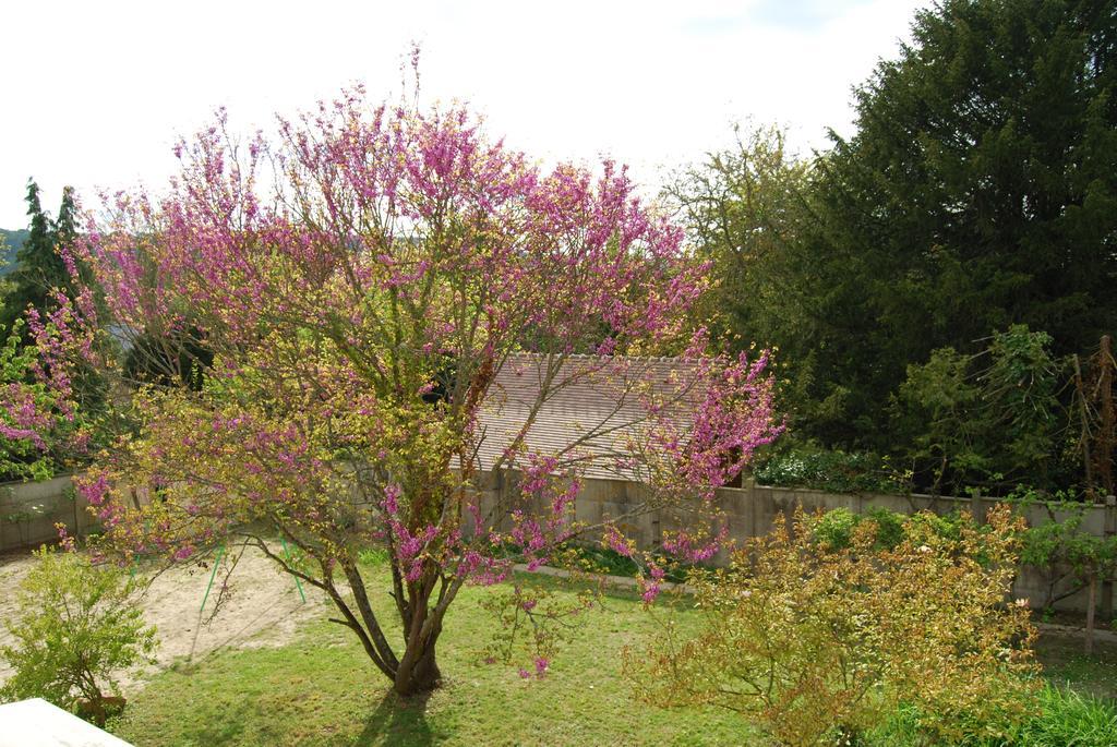 Villa Ramier Giverny Exterior foto